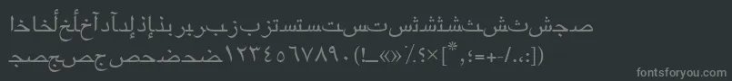 Шрифт Arabicriyadhssk – серые шрифты на чёрном фоне