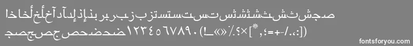Шрифт Arabicriyadhssk – белые шрифты на сером фоне