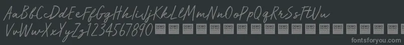 RunWildDemo Font – Gray Fonts on Black Background