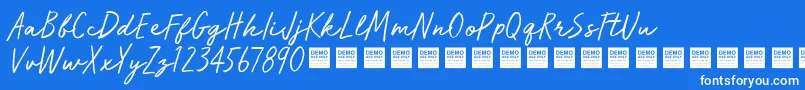 En savoir plus sur la police RunWildDemo Police RunWildDemo – polices blanches sur fond bleu