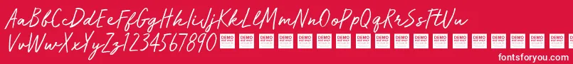 RunWildDemo Font – White Fonts on Red Background