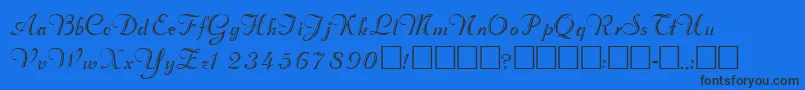 ValletortsskRegular Font – Black Fonts on Blue Background