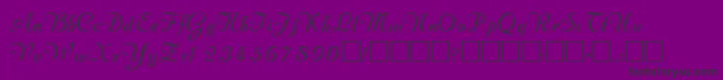 ValletortsskRegular-Schriftart – Schwarze Schriften auf violettem Hintergrund