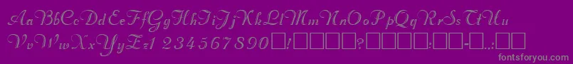 ValletortsskRegular-Schriftart – Graue Schriften auf violettem Hintergrund