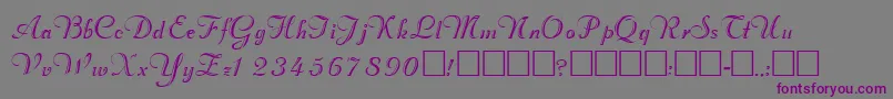 ValletortsskRegular Font – Purple Fonts on Gray Background