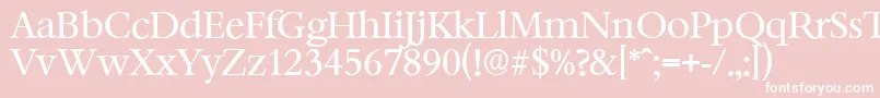 BernsteinserialRegular Font – White Fonts on Pink Background