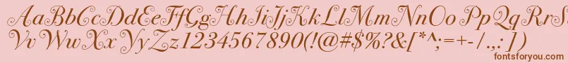 フォントBodoni72swashc – ピンクの背景に茶色のフォント