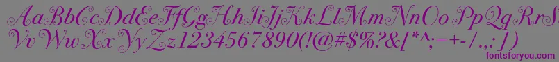 Шрифт Bodoni72swashc – фиолетовые шрифты на сером фоне