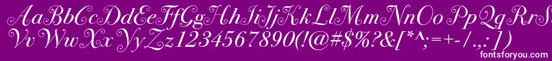 フォントBodoni72swashc – 紫の背景に白い文字