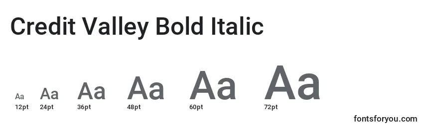 Размеры шрифта Credit Valley Bold Italic
