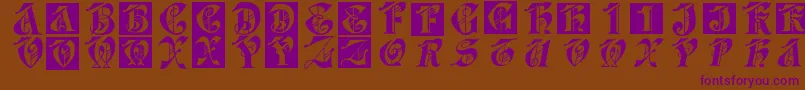 Dolbyfraxcaps Font – Purple Fonts on Brown Background