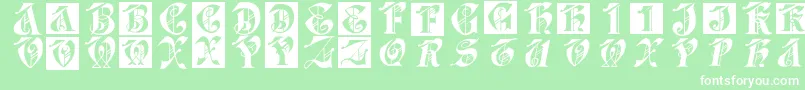 Dolbyfraxcaps Font – White Fonts on Green Background