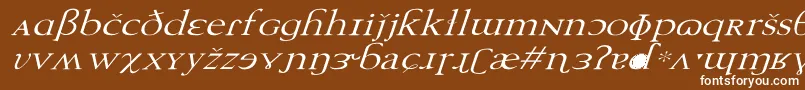 Czcionka TechphoneticWdItalic – białe czcionki na brązowym tle