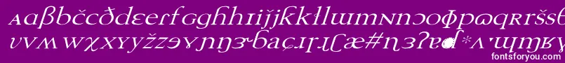 TechphoneticWdItalic Font – White Fonts on Purple Background