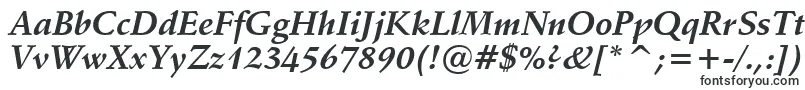 Vaniel1BoldItalic-Schriftart – Schriften mit Serifen