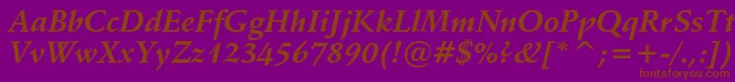 Vaniel1BoldItalic Font – Brown Fonts on Purple Background