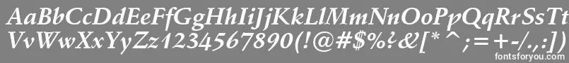 Vaniel1BoldItalic Font – White Fonts on Gray Background
