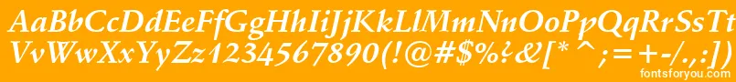 フォントVaniel1BoldItalic – オレンジの背景に白い文字