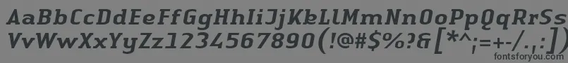 LinotypeAuthenticSerifMediumitalic Font – Black Fonts on Gray Background
