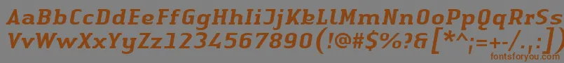 LinotypeAuthenticSerifMediumitalic Font – Brown Fonts on Gray Background