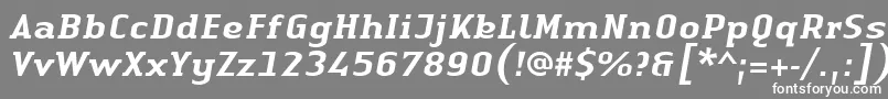 LinotypeAuthenticSerifMediumitalic Font – White Fonts on Gray Background