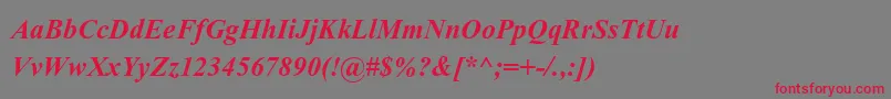 KokilaBoldItalic Font – Red Fonts on Gray Background