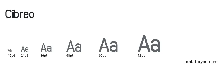 Cibreo Font Sizes