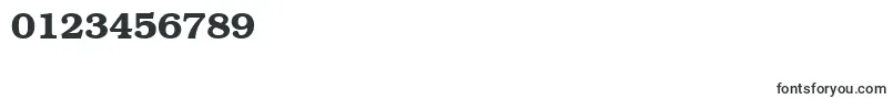 BookmancttBold-Schriftart – Schriften für Zahlen und Nummern