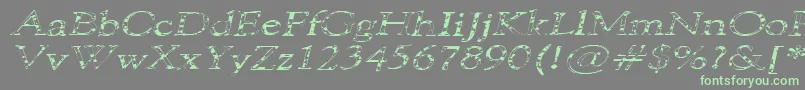 101PuppiesItalicSw Font – Green Fonts on Gray Background