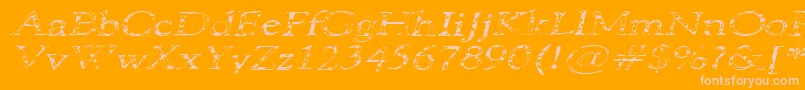 101PuppiesItalicSw Font – Pink Fonts on Orange Background
