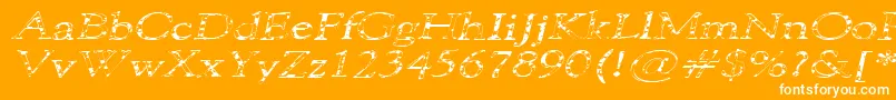 101PuppiesItalicSw Font – White Fonts on Orange Background