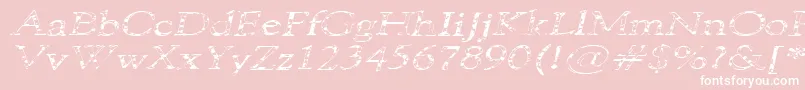 フォント101PuppiesItalicSw – ピンクの背景に白い文字