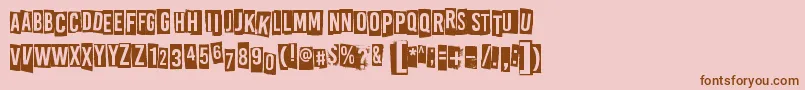 AllRightsReserved Font – Brown Fonts on Pink Background