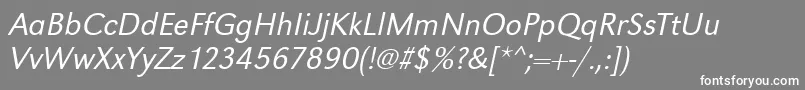 GroteskstdLightItalic Font – White Fonts on Gray Background