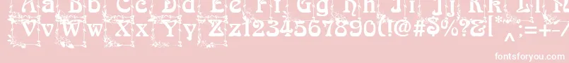 ArnoldBocklincInitials Font – White Fonts on Pink Background