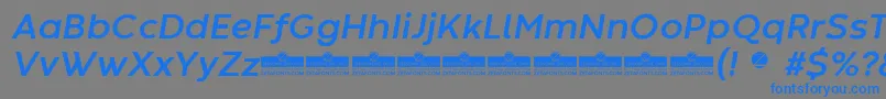 CodecWarmBoldItalicTrial Font – Blue Fonts on Gray Background