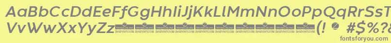 CodecWarmBoldItalicTrial Font – Gray Fonts on Yellow Background