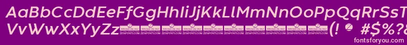 CodecWarmBoldItalicTrial Font – Pink Fonts on Purple Background