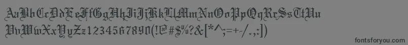 TannenbaumNormal Font – Black Fonts on Gray Background