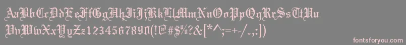 フォントTannenbaumNormal – 灰色の背景にピンクのフォント