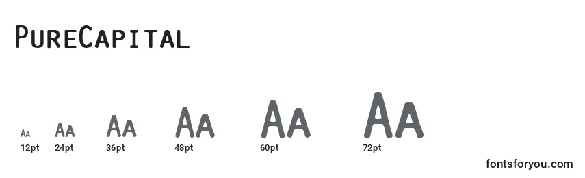 PureCapital Font Sizes