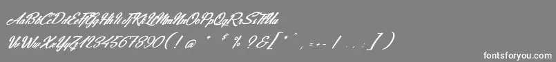 JeansFashions Font – White Fonts on Gray Background