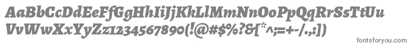 フォントAlegreyaBlackitalic – 白い背景に灰色の文字