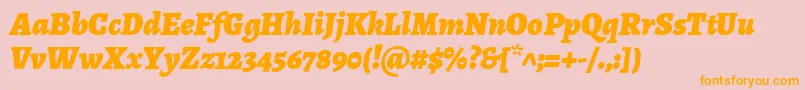 AlegreyaBlackitalic Font – Orange Fonts on Pink Background