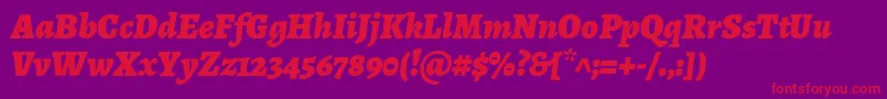 AlegreyaBlackitalic Font – Red Fonts on Purple Background