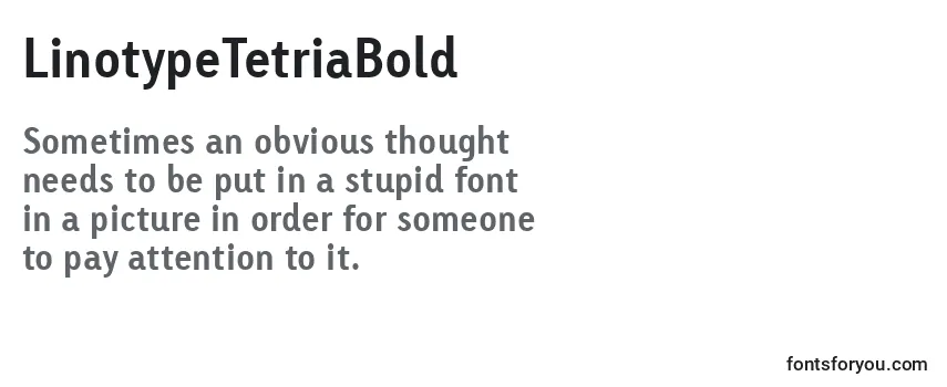 LinotypeTetriaBold Font