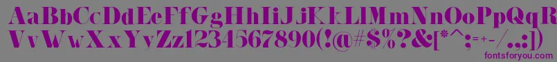 Malibu Font – Purple Fonts on Gray Background