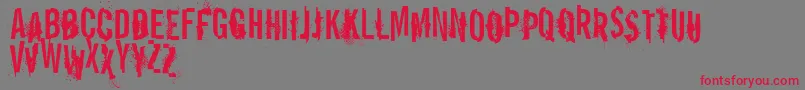 VtksReportError Font – Red Fonts on Gray Background