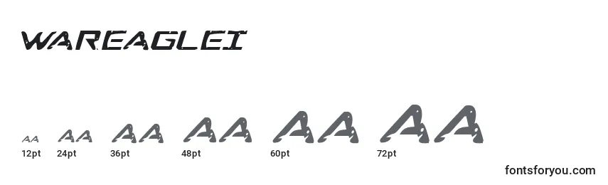 Размеры шрифта Wareaglei