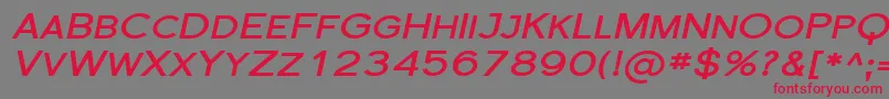 Florsn31 Font – Red Fonts on Gray Background